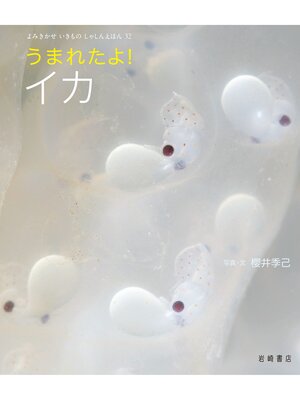 cover image of うまれたよ!イカ